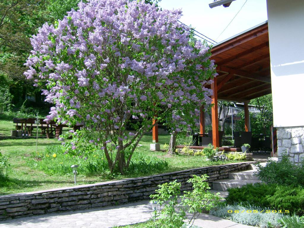 Vila Vuk Plitvicka Jezera Ngoại thất bức ảnh